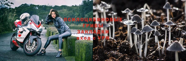 мдпв Арсеньев